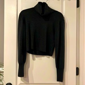 Nadaam XS Crop Turtleneck NWOT Silk & Cashmere